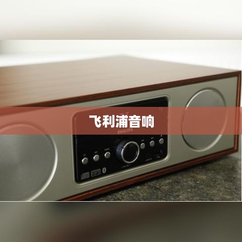 飞利浦音响的价格与品质详解  第1张