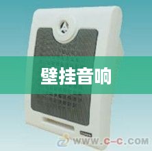 壁挂音响品牌推荐及详细介绍