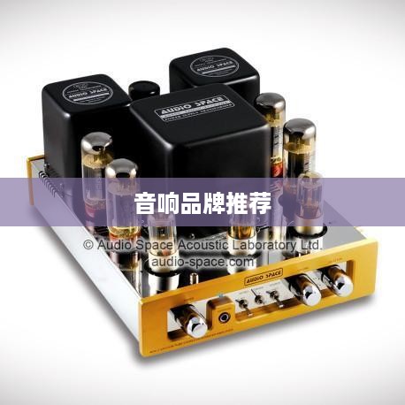 专业音响品牌推荐，深度解析优秀音响品牌及其特点  第1张