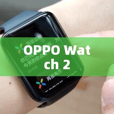 OPPO Watch 2重置出厂设置恢复方式的详细指南