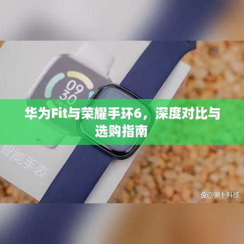 华为Fit与荣耀手环6，深度对比与选购指南