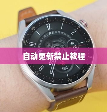 华为Watch 3 Pro如何禁止自动更新—自动更新禁止教程