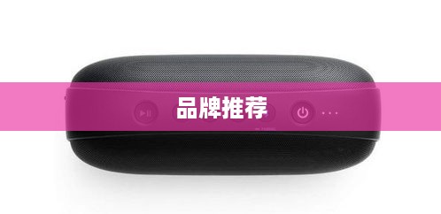 无线蓝牙音箱介绍与品牌推荐—详解