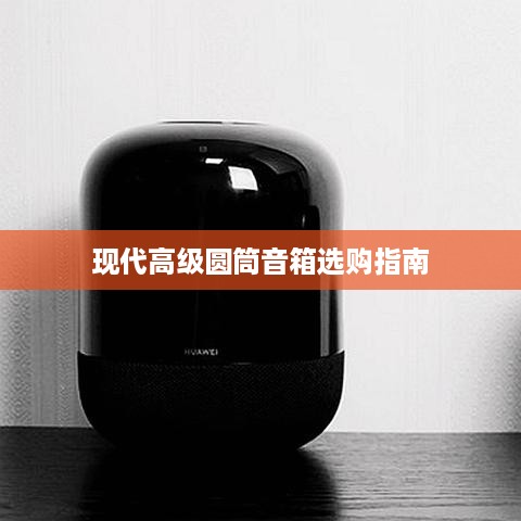 现代高级圆筒音箱选购指南及品牌推荐详解