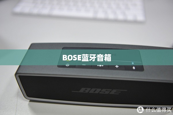 BOSE蓝牙音箱详解，出色音质体验的无处不在