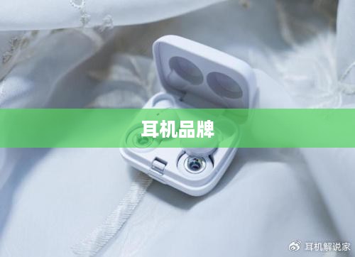 耳机品牌哪款好？深度解析各大耳机品牌特点与优势