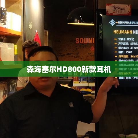 森海塞尔HD800新款耳机测评，深度解析与详细介绍  第1张