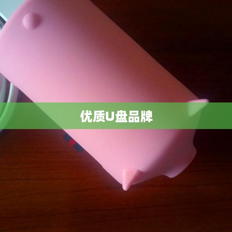 优质U盘品牌推荐，探寻最佳存储伙伴