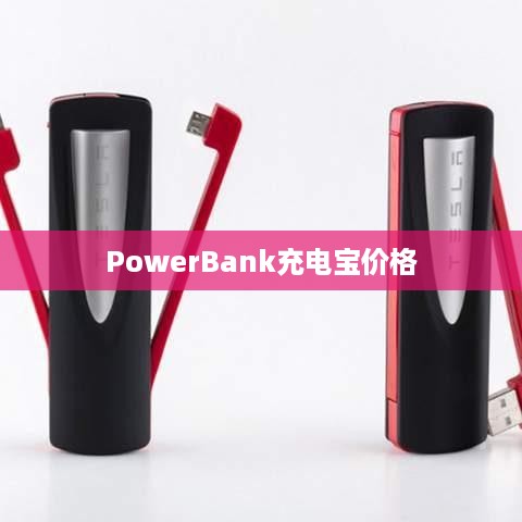 PowerBank充电宝价格及使用详解