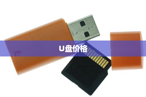 U盘价格大全，详细解析U盘报价及购买建议