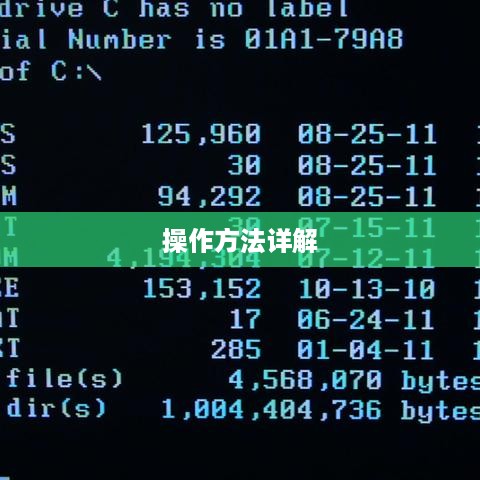 U盘低级格式化操作方法详解步骤