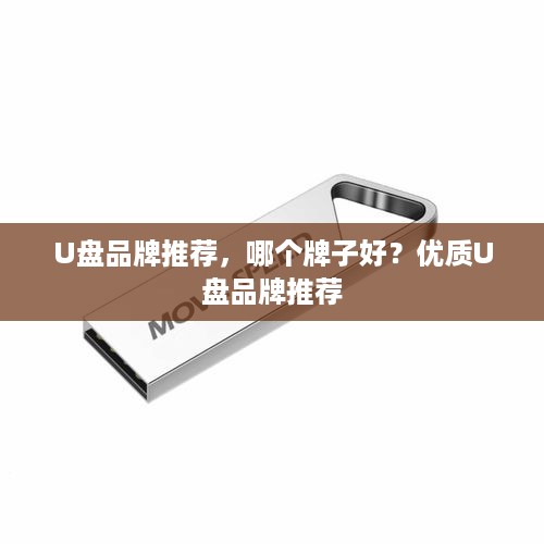 U盘品牌推荐，哪个牌子好？优质U盘品牌推荐  第1张