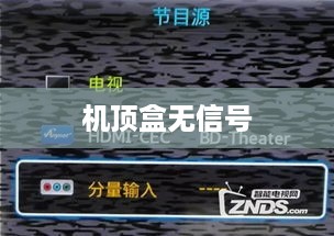 机顶盒没有信号怎么办？解决方法详解