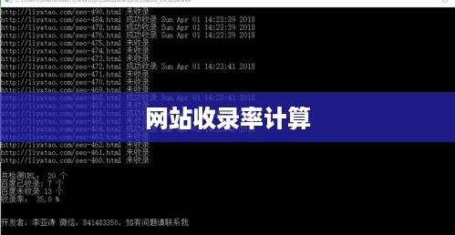 揭秘网站收录率的计算方法