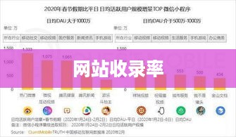 深度解析网站收录率，如何观察与提升  第1张