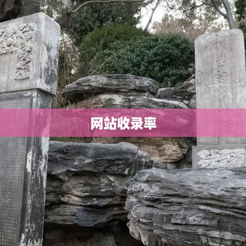 网站收录率多少正常，探究合理的网页收录标准