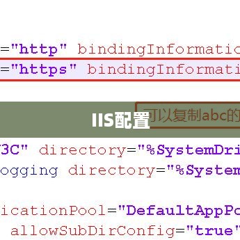 IIS配置详解，意义与应用
