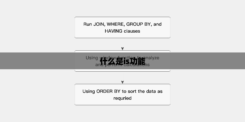 什么是is功能