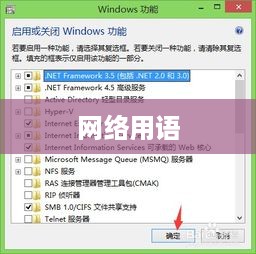 IIS是什么意思网络用语