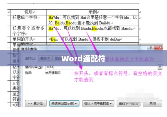 Word通配符的用法详解