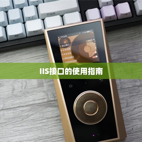 IIS接口的使用指南  第1张