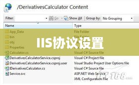 IIS协议设置详解  第1张