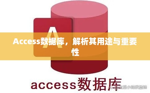 Access数据库，解析其用途与重要性  第1张