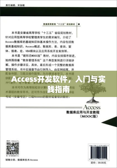 Access开发软件，入门与实践指南