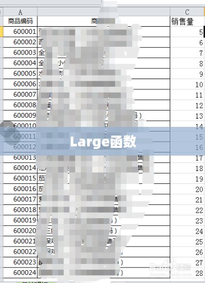 Large函数与Max的区别解析