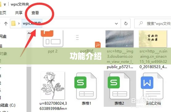 Word 2016文档的扩展名及其相关功能介绍