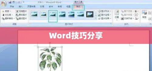 实用Word技巧分享，深度挖掘Word状态栏的实用功能！  第1张