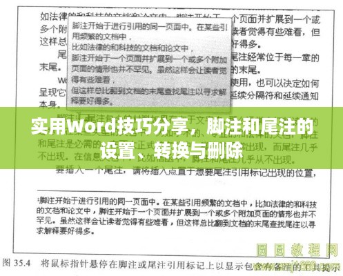 实用Word技巧分享，脚注和尾注的设置、转换与删除