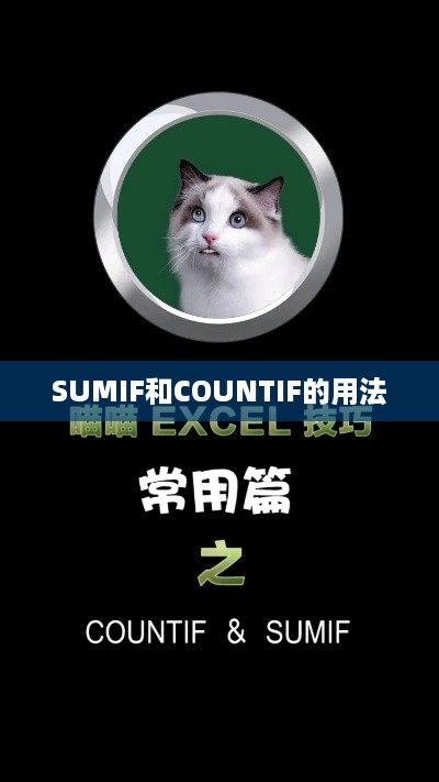 Excel函数学习之浅析SUMIF和COUNTIF的用法  第1张