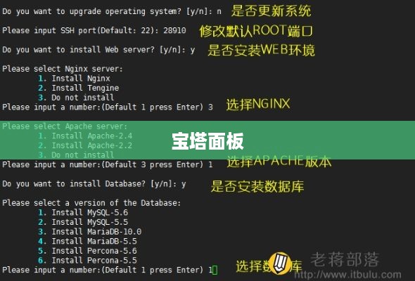 如何选择宝塔面板中的LNMP与LAMP环境套件  第1张