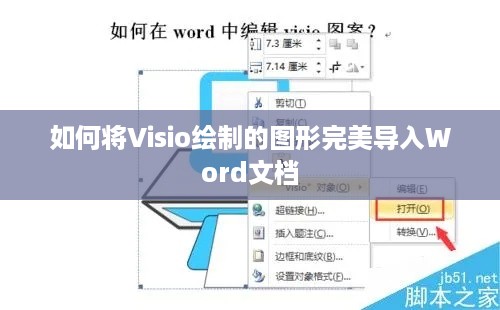 如何将Visio绘制的图形完美导入Word文档