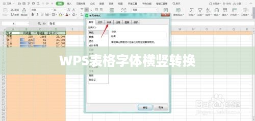 WPS表格字体横竖转换的实用技巧
