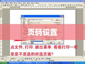 如何在页脚添加页码