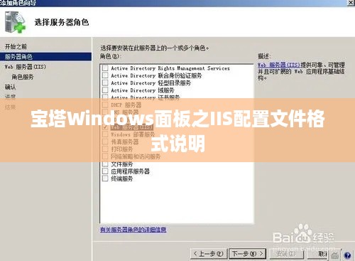 宝塔Windows面板之IIS配置文件格式说明  第1张