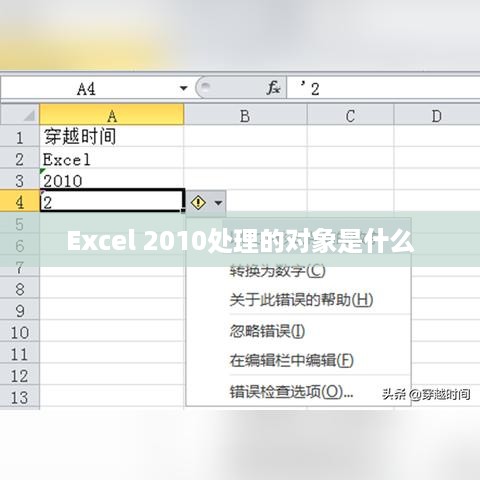 Excel 2010处理的对象是什么  第1张
