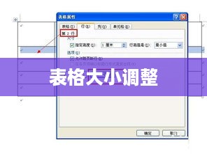 掌握技巧，轻松调整表格大小