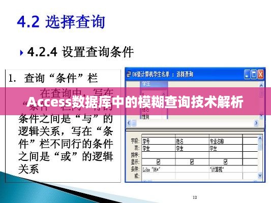 Access数据库中的模糊查询技术解析