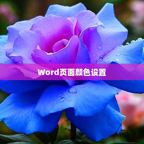 Word页面颜色的设置方法与步骤详解