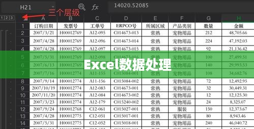 Excel如何分类字段，数据处理的实用技巧