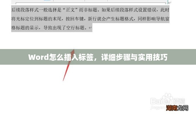Word怎么插入标签，详细步骤与实用技巧