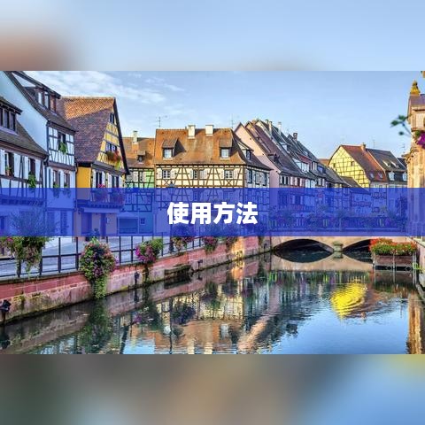 深入了解dget函数的使用方法