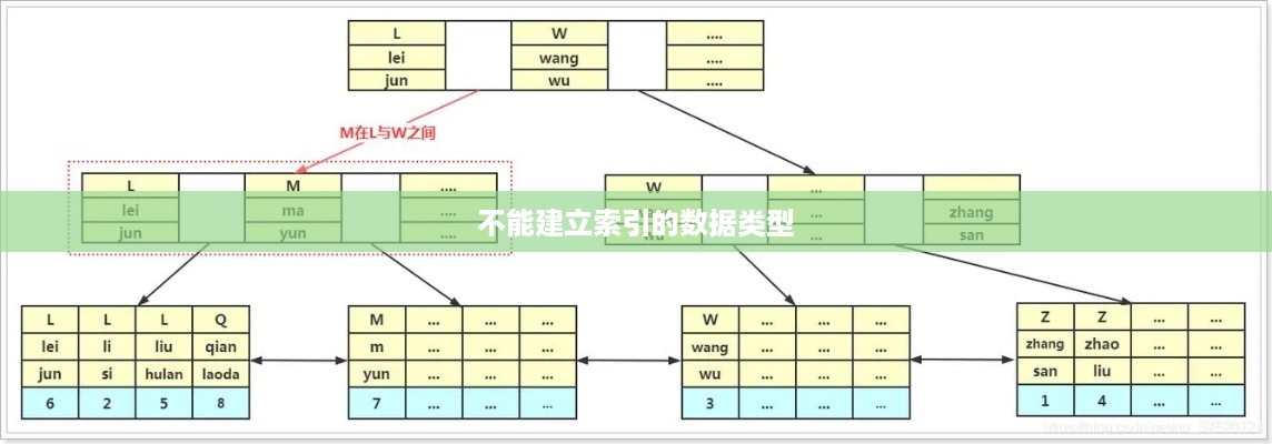 不能建立索引的数据类型探究