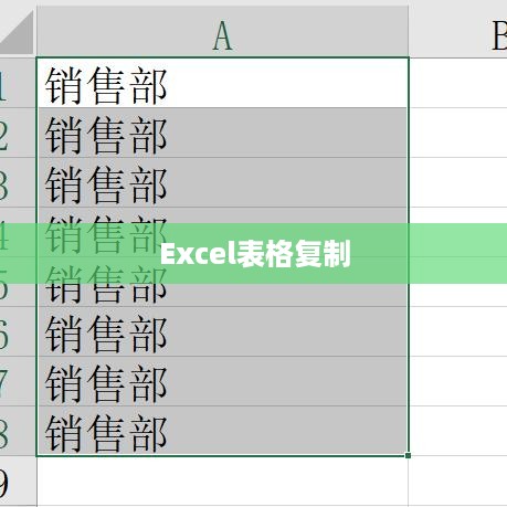如何复制Excel表格并保持其原始大小