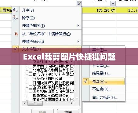 Excel裁剪图片快捷键无效怎么办？解决指南