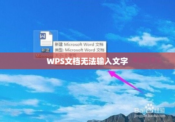 WPS文档无法输入文字怎么办？解决指南