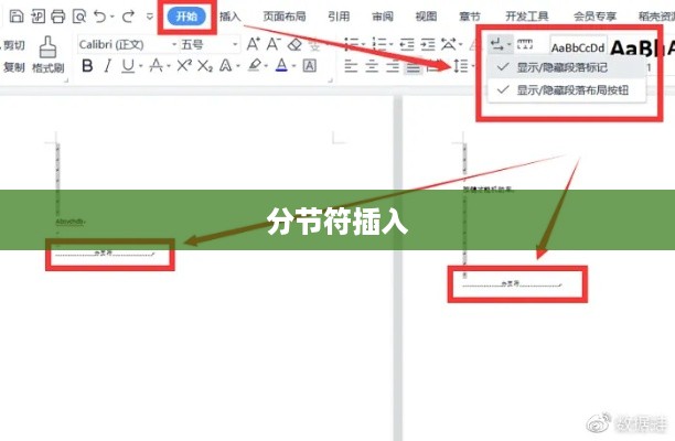 WPS文档中如何插入分节符  第1张